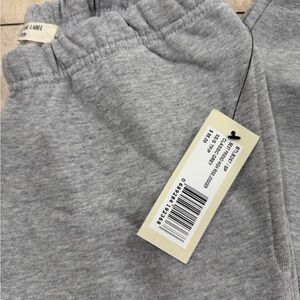 Brunette the Label joggers gray NWT new
